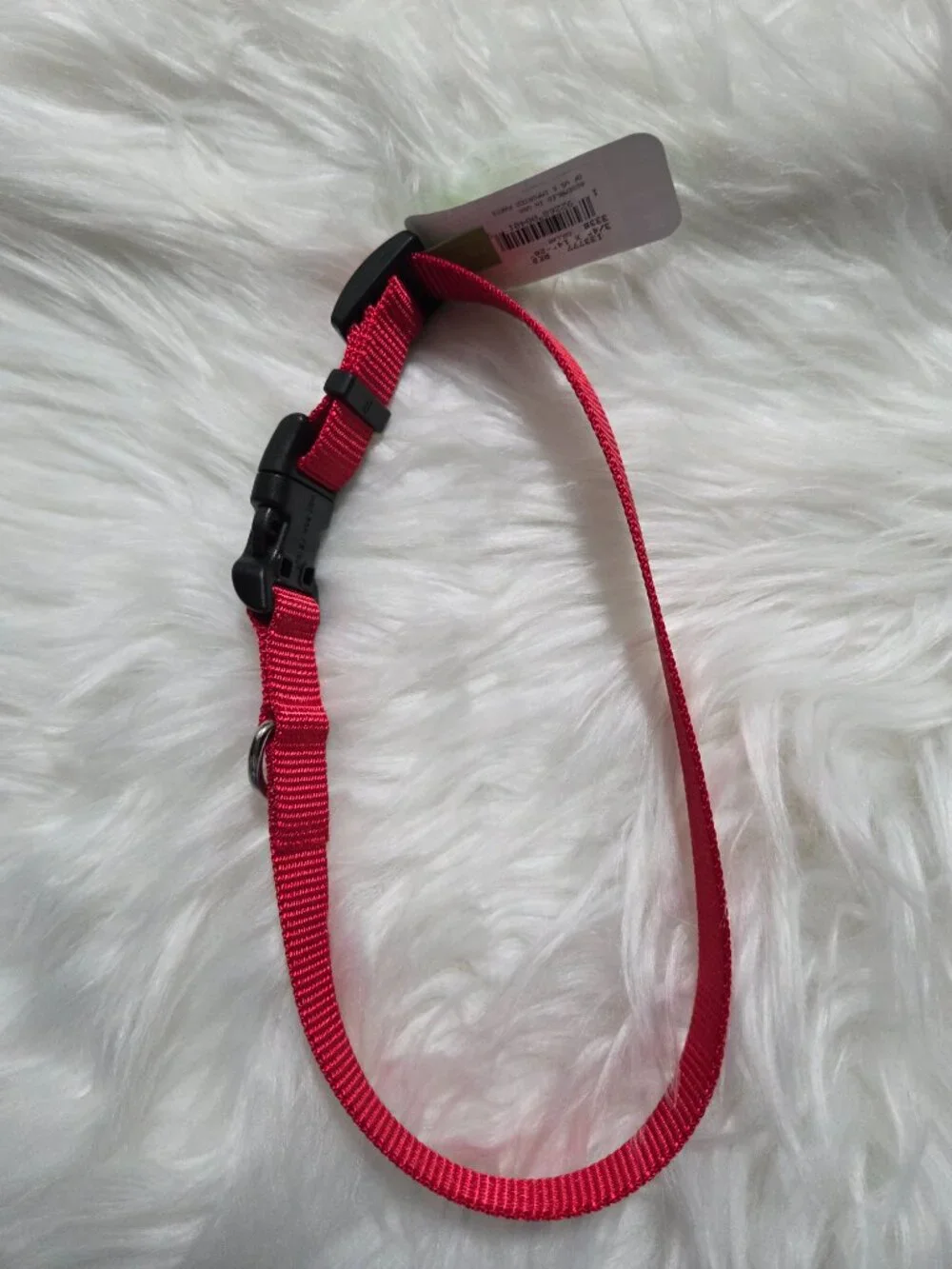 Frisco Red Dog Collar